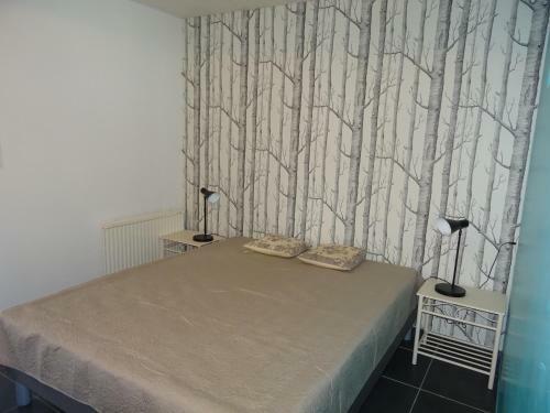 Maison Vue Mer C�te Sauvage Pointe De La Torche