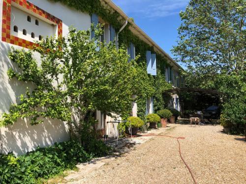 Bed & Breakfast Maison D'h�tes Campagne La N�gre