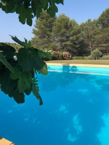 Bed & Breakfast Maison D'h�tes Campagne La N�gre