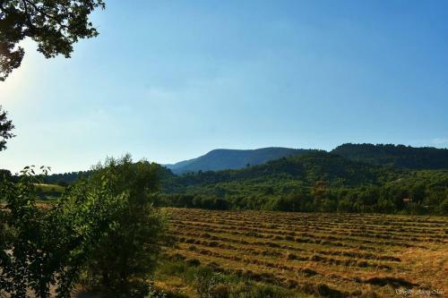 Domaine De La Marie Dans Le Luberon