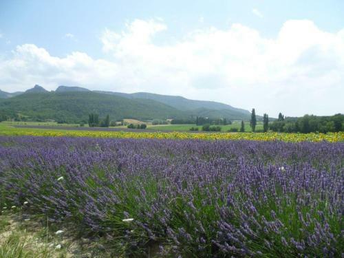 Les Beaux Chenes