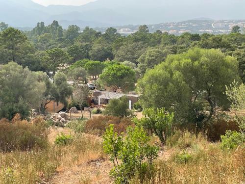 Petra Legna - R�sidence Les Jardins Du Golfe