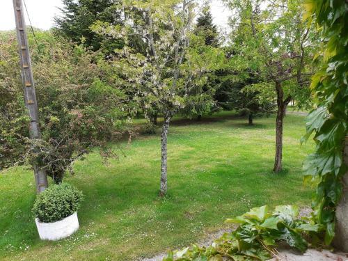 Apartamento Studio Grand Confort