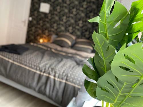 Apartamento Ng Suite Home Cassel Lille