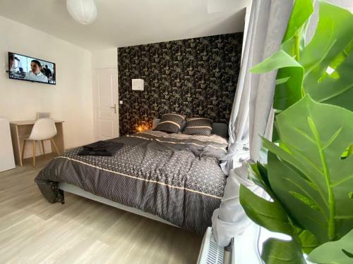 Apartamento Ng Suite Home Cassel Lille