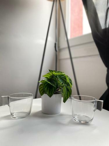 Apartamento Ng Suite Home Cassel Lille