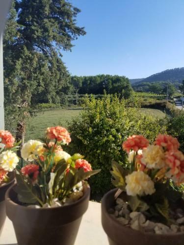 Une Nuitee En Provence Sur Un Chemin De Vignes