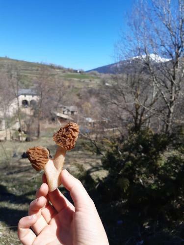 Bed & Breakfast Mas Rondole - Chambres D'h�tes