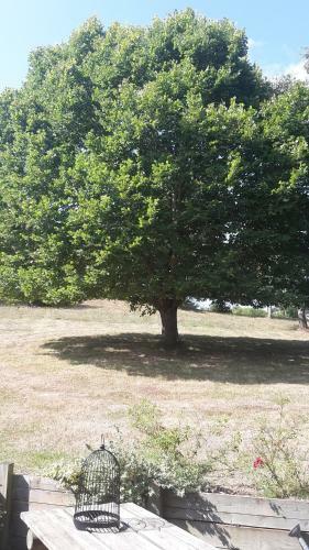 Gite De Montager Saint Andr� De Chalencon