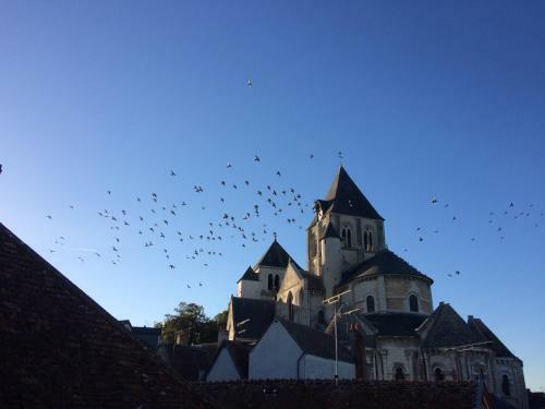 Apartamentos Sur La Route De Beauval