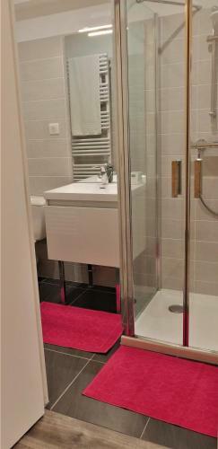 Apartamento Appartement St Aignan Sur Cher Centre