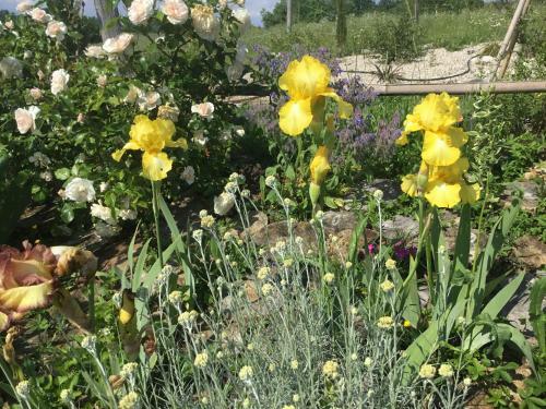 Gite Le Lendou