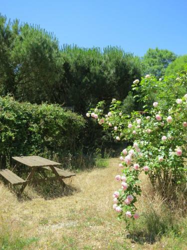 Bed & Breakfast Chambres D'h�tes Du Moulin de La Chaussee