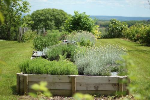 Le Domaine Des Fargues