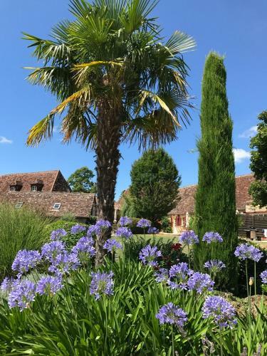 Le Domaine Des Fargues