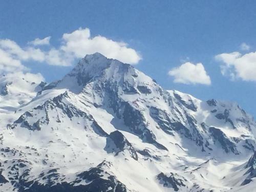 Le Petit Saint Bernard