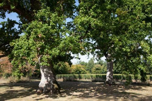 Bed & Breakfast Ch�teau De Ferrand