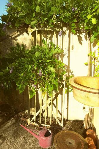 Bed & Breakfast La Maison Des Thermes, Chambre D'h�te