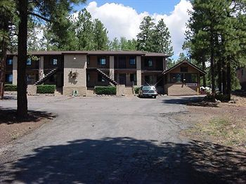 Motel In The Pines