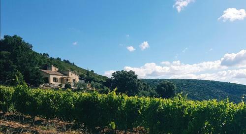 La Vigie Gite Panoramique Avec Piscine