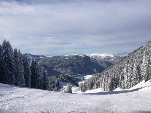 Chalet Serin