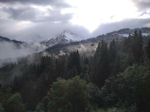 Apartamento Appartement Avec Vue Sur Le G�ant Des Alpes