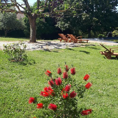 Apartamento G�te Ma Vie L� Avec Jacuzzi Privatif