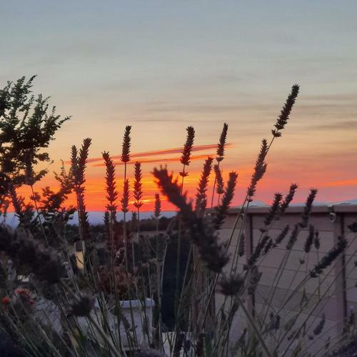 L'enchanteur