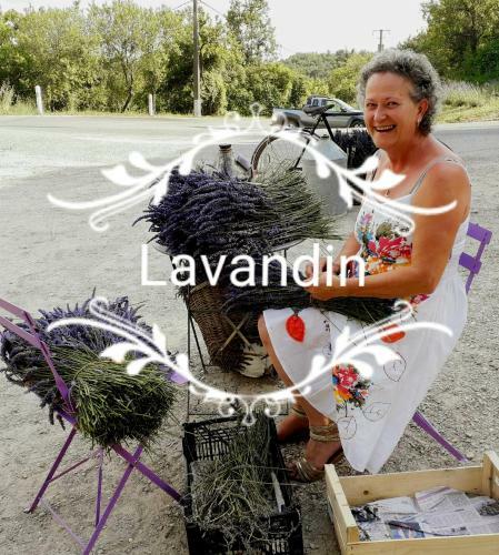 L'enchanteur