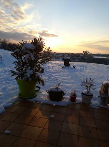 L'enchanteur