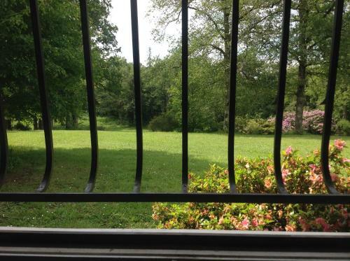 L?etang Carp Fishing Lake And Gite