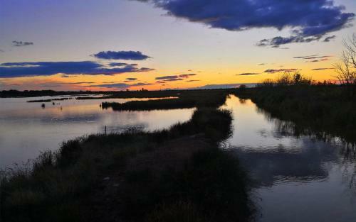 Apartamento Appartement Camargue 5 Couchages