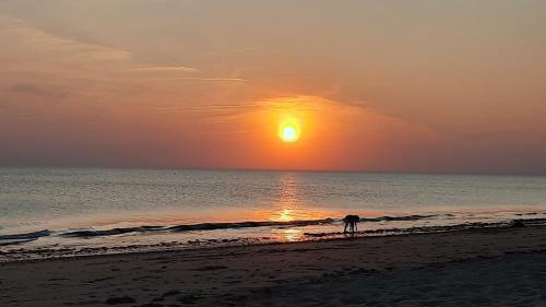 Apartamento Appartement Les Ondines 2 Chambres Front De Mer