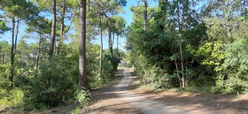 Apartamento Appartement Les Ondines 2 Chambres Front De Mer