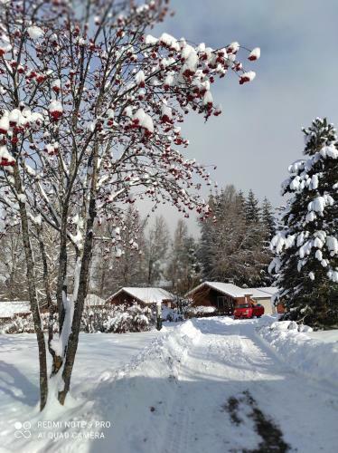 Chalet Calme