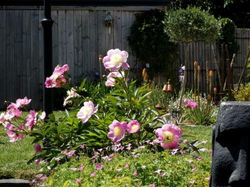 Bed & Breakfast Il �tait Une Fois Broc�liande