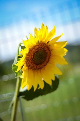 Maison Moderne Climatis�e En Bordure De Campagne