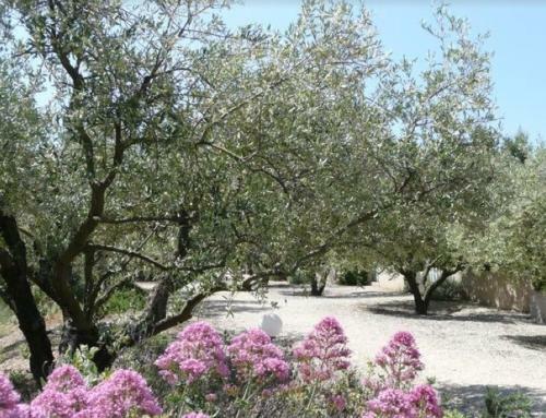 Un Gite En Provence - Les Jardins de Fontanille