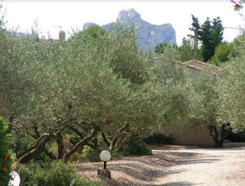 Un Gite En Provence - Les Jardins de Fontanille