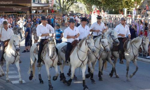 Les Lavandins-gite Fr�d�ric