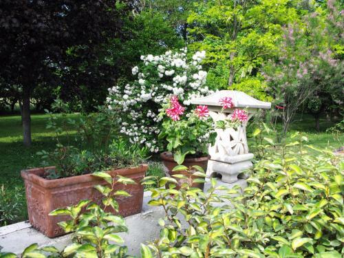 Villa Melodie St Remy 6ha Piscine