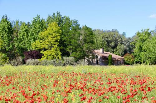 Villa Melodie St Remy 6ha Piscine