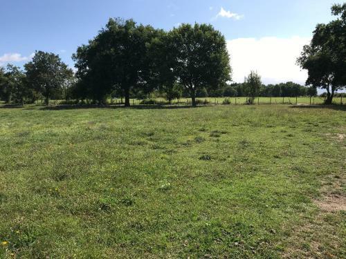 Hostal Domaine de Badine, Bordeaux Centre 15mn
