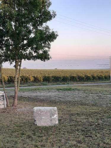 Bed & Breakfast Le C?ur Du Breuil