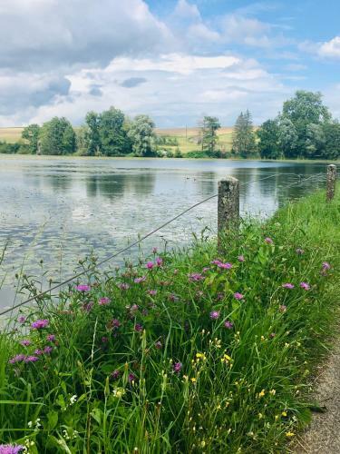 L'echapp�e Ardennaise - G�te 6 Places Tout Confort