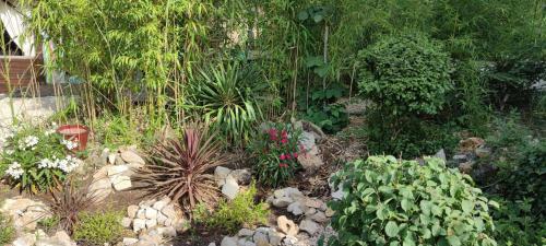 Apartamentos Villa Terre Neuve