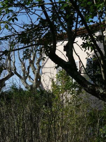 Bed & Breakfast Le Charme D'une Vieille Bastide Proven�ale