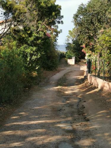 Villa Boost Your Immo Corse Sari Solenzara 350
