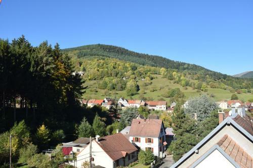 Apartamentos La Marguerite 3ch Et Le Panoramic 2ch � Sondernach