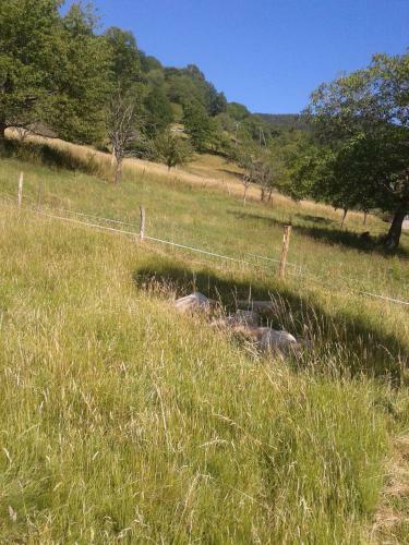 Apartamentos La Marguerite 3ch Et Le Panoramic 2ch � Sondernach
